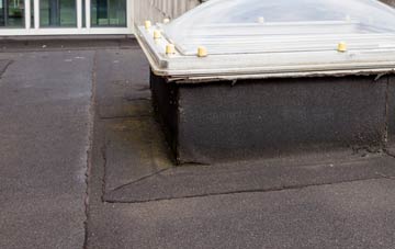disadvantages of Camers Green flat roofs